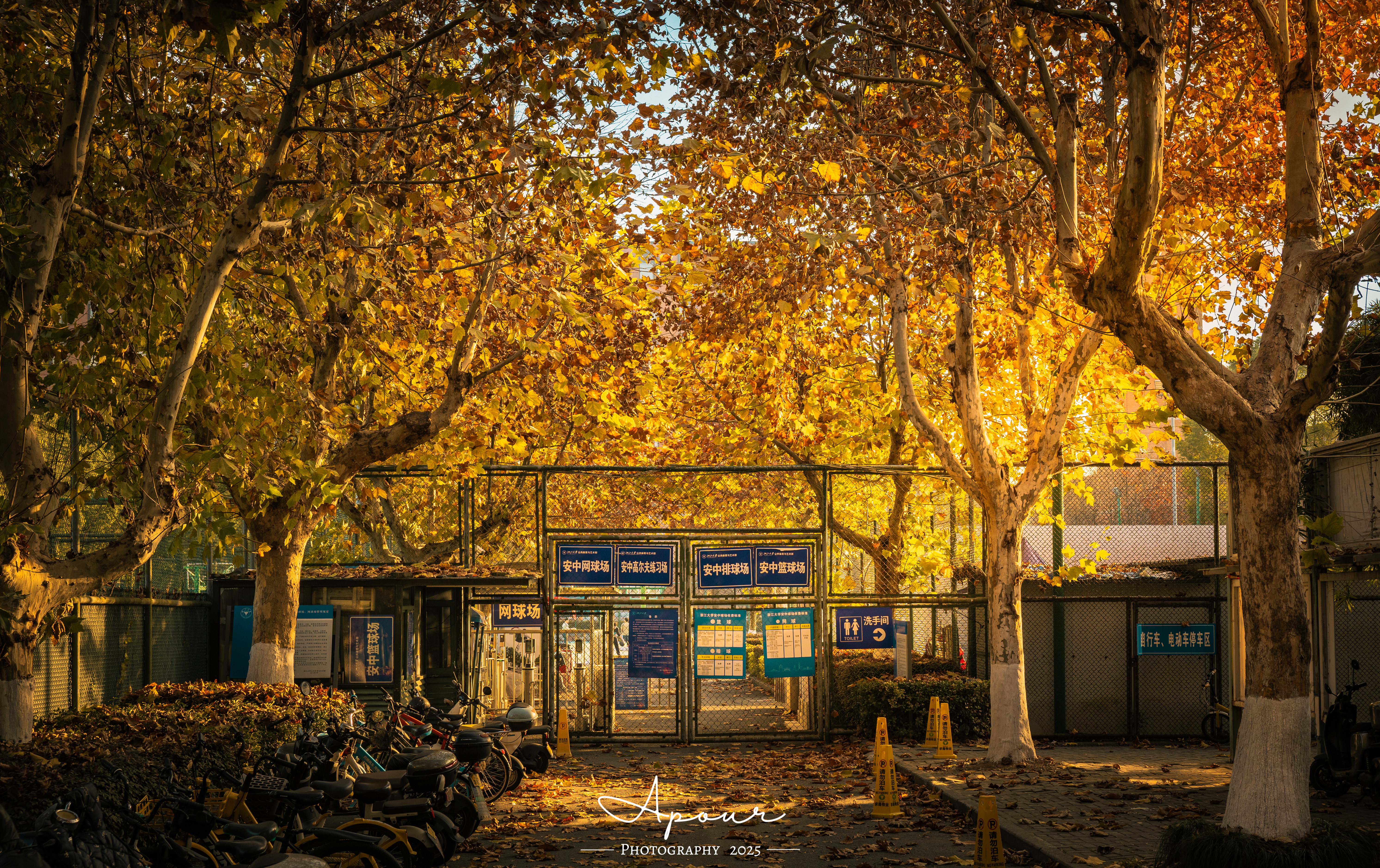 初冬的安中球场